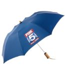 Executive Folding Auto Open Umbrella in Royal