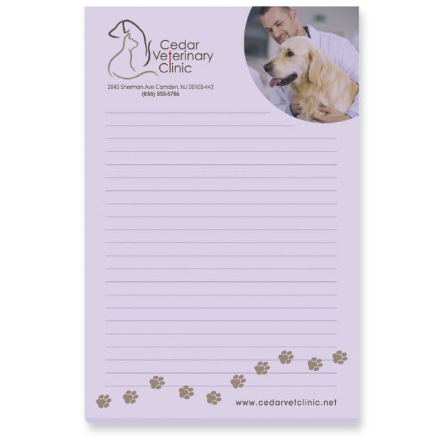 Bic Sticky Notes 4" x 6" 50 Sheets