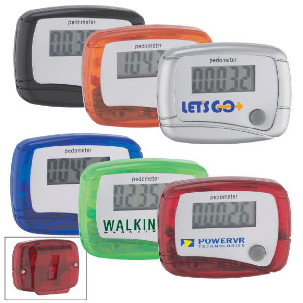 Budget Pedometer