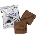 Molded Chocolate Squares
