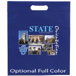 Optional Full Color Version