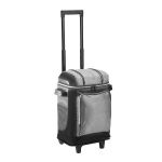 Coleman 42-Can Wheeled, Silver