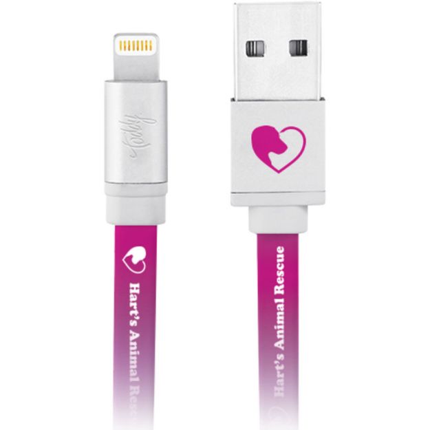 Toddy Promotional Lightning Cable and Charger