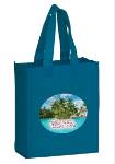 Boutique Gift Bag Tote 8 x 10 with Full Color Printing in Maui Blue