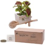 Custom Wheel Barrow Blossom Kit