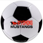 Soccer Ball 1 Car Sign 5-3/4 Diameter Circle Magnet