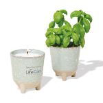 Modern Sprout Glow & Grow Live Well Gift Set with Soy Blend Candle and Basil Plant