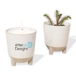 Candle & Spruce Plant