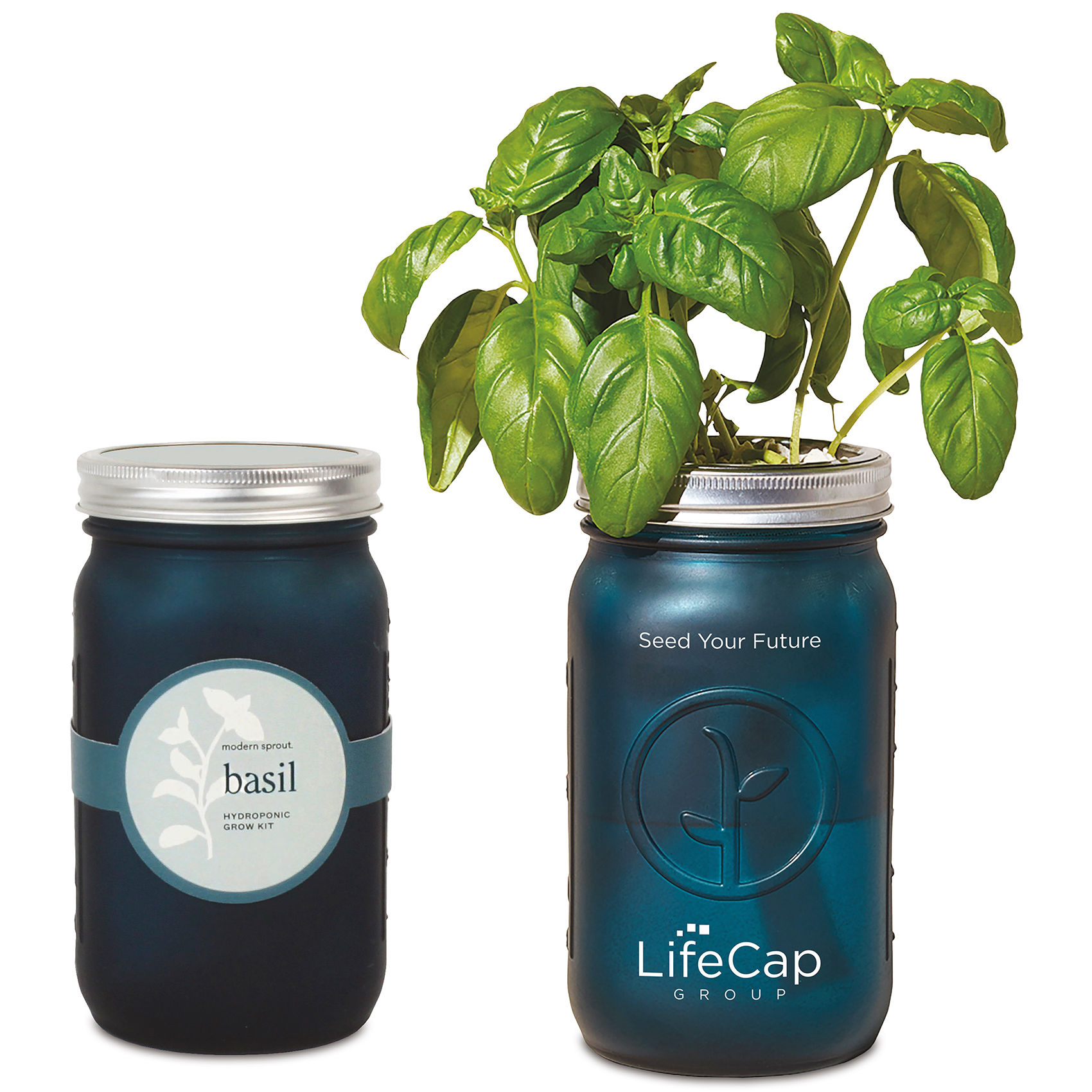 Modern Sprout Indoor Herb Garden Kit Promotional Desktop and Home