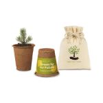 Modern Sprout One For One Tree Kits Sycamore