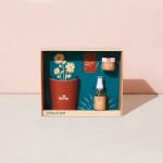 Modern Sprout Shine Bright Take Care Kit - Sunflower, shown in gift box