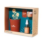 Modern Sprout Shine Bright Take Care Kit - Sunflower, shown in gift box, side-view