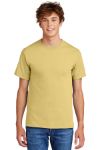 Daffodil Yellow