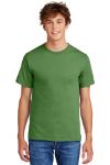 Dill Green