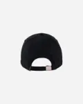 Custom Bad Birdie Bad Dad Caps in Black with Birdie Logo Back