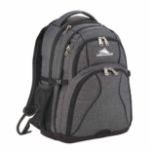 High Sierra Swerve Computer Backpacks, Graphite
